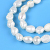 Natural Cultured Freshwater Pearl Beads Strands PEAR-N014-03K-4