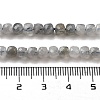 Natural Labradorite Beads Strands G-G140-C06-03-5