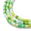 Handmade Lampwork Beads Strands LAMP-L078-008-4