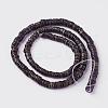 Shell Beads Strands SSHEL-E571-49E-2