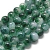 Natural Malaysia Jade Beads Strands G-L645-C01-10mm-03-1