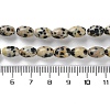 Natural Dalmatian Jasper Beads Strands G-I369-B03-01-5