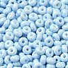 Baking Paint Glass Seed Beads SEED-B001-02A-08-3