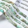 Natural Chrysoprase Beads Strands G-S376-013-4