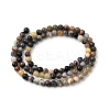 Natural Sodalite Beads Strands G-F591-13A-6