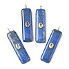Dyed Natural Lapis Lazuli Pendants G-H318-03G-04-1