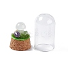 Natural Quartz Crystal Mushroom Display Decoration with Glass Dome Cloche Cover G-E588-03I-4