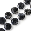 Natural Larvikite Beads Strands G-C116-A45-01-2