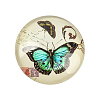Butterfly Printed Glass Half Round/Dome Cabochons X-GGLA-N004-14mm-C-2