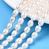 Natural Cultured Freshwater Pearl Beads Strands LS-PEAR-N012-06J-1