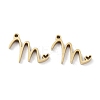 304 Stainless Steel Charms STAS-M327-02G-M-1