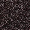 TOHO Round Seed Beads X-SEED-TR11-0006CF-2