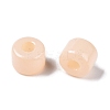 Opaque Baking Paint Glass Seed Beads X-SEED-T008-02C-4