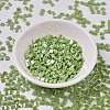 MIYUKI TILA Beads X-SEED-J020-TL439-2