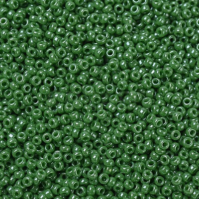 MIYUKI Round Rocailles Beads X-SEED-G007-RR0431-1