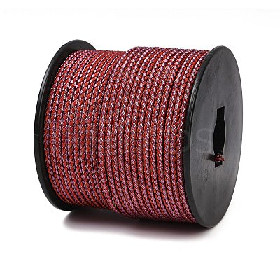 40M Nylon Coated 304 Stainless Steel Braided Wires TWIR-P002-01B-13-1