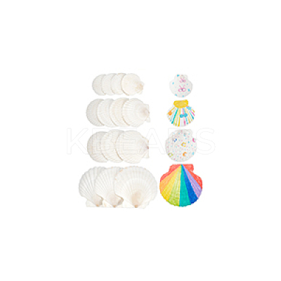 14Pcs 4 Styles Natural Shell Painting Accessories DIY-NB0012-05-1