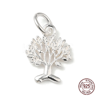 925 Sterling Silver Charms STER-NH0001-34S-1