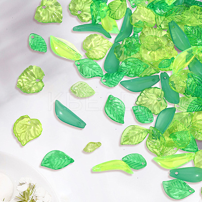 600Pcs 10 Styles Transparent Acrylic Pendants OACR-PA0001-48-1