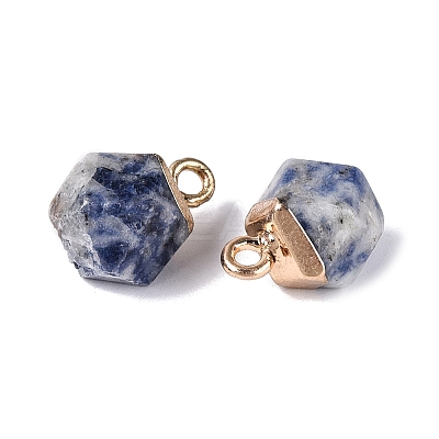 Natural Blue Spot Jasper Pendants G-N359-18G-06-1