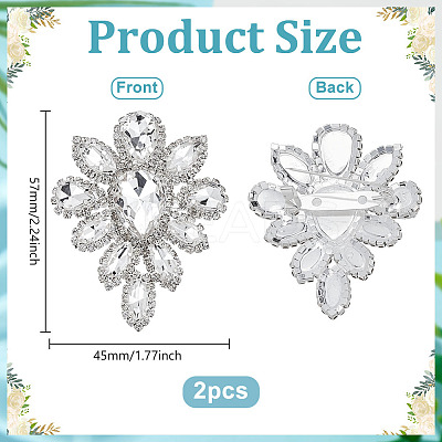 2Pcs Silver Alloy Glass Brooch JEWB-FG0001-55A-1