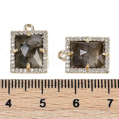 Natural Mixed Gemstone Faceted Rectangle Pendants G-I375-05G-1