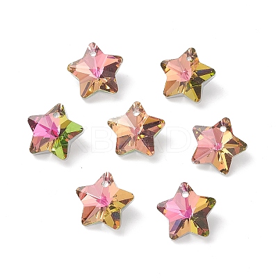 Electroplate Glass Charms GLAA-H104-A09-1