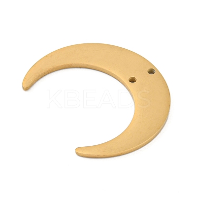 Ion Plating(IP) 304 Stainless Steel Connector Charms LS-STAS-B056-27G-1