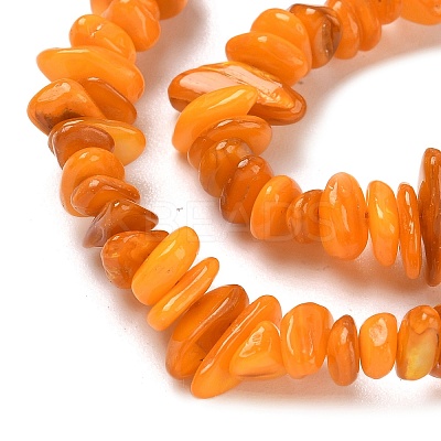 Natural Freshwater Shell Beads Strands BSHE-I016-01I-1