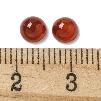 Natural Carnelian Cabochons G-Q173-01B-14-1