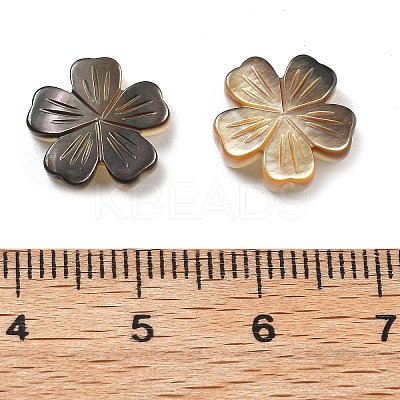 Natural Black Shell Carved Beads SSHEL-Z002-02B-1