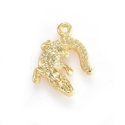 Alloy Pendants LS-X-TIBEP-A040-015G-NR-1
