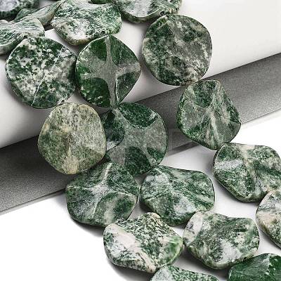 Natural Green Spot Jasper Beads Strands G-Z061-B08-02-1