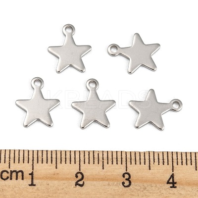 Tarnish Resistant 304 Stainless Steel Charms STAS-G190-27P-A-1