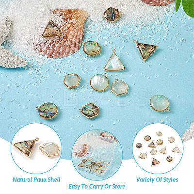 12Pcs 6 Styles Natural Shell Pendant Sets SHEL-CD0001-03-1