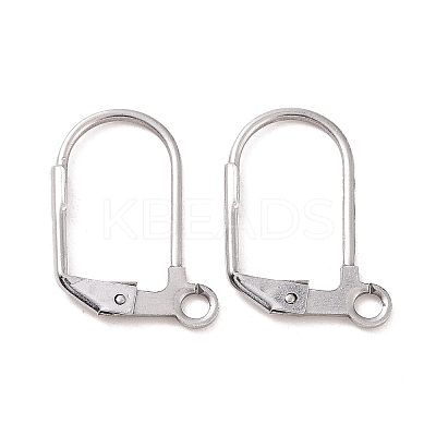 Tarnish Resistant 304 Stainless Steel Leverback Earring Findings STAS-E007-6-1
