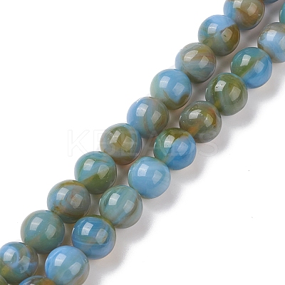 Handmade Lampwork Beads Strands LAMP-D072-B-03-1