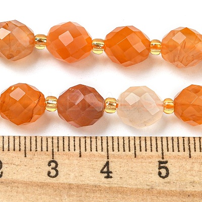 Natural Orange Botswana Agate Beads Strands G-N342-40-1