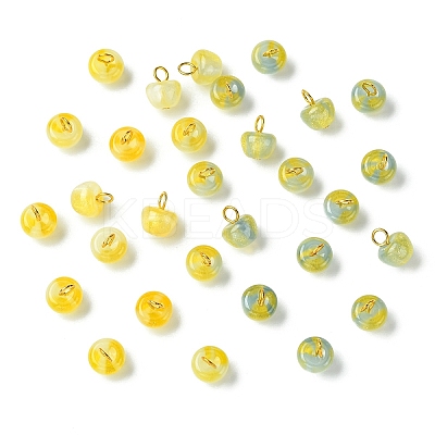 30Pcs Resin UV Reactive Charms PALLOY-YW00173-02-1