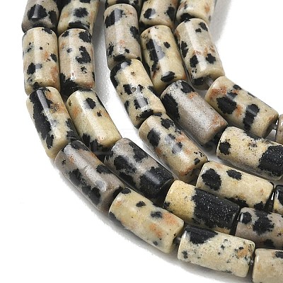 Natural Dalmatian Jasper Beads Strands G-B091-A19-01-1