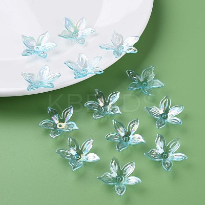 Transparent Acrylic Beads MACR-S373-102-C05-1