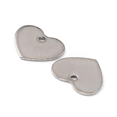 Tarnish Resistant 201 Stainless Steel Charms LS-STAS-K217-76-1