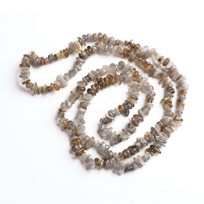 Natural Labradorite Chips Beads Strands G-D0002-A06-1