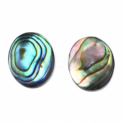 Natural Abalone Shell/Paua Shell Cabochons SSHEL-N034-118-1