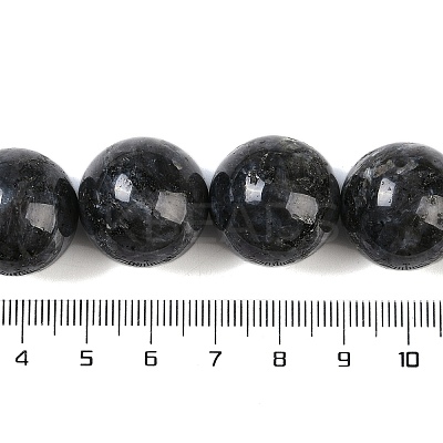 Natural Larvikite Beads Strands G-G118-B02-01-1