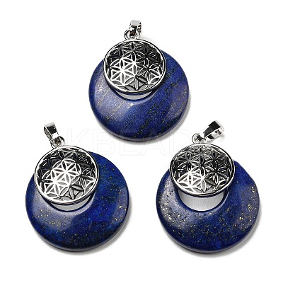 Natural Lapis Lazuli Pendants KK-F751-M-A02-1