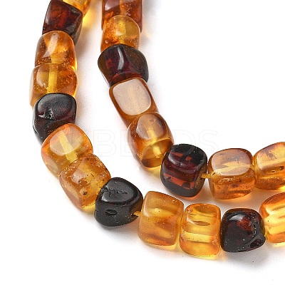 Natural Amber Beads Strands G-K387-E02-01-1