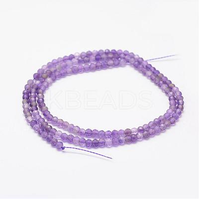 Natural Amethyst Beads Strands G-F460-50-1