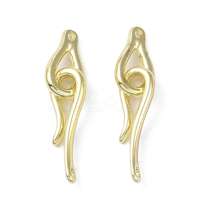 Brass Hook and Eye Clasps LS-KK-B087-18G-1