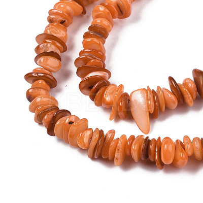 Natural Freshwater Shell Beads Strands SHEL-S278-071B-1